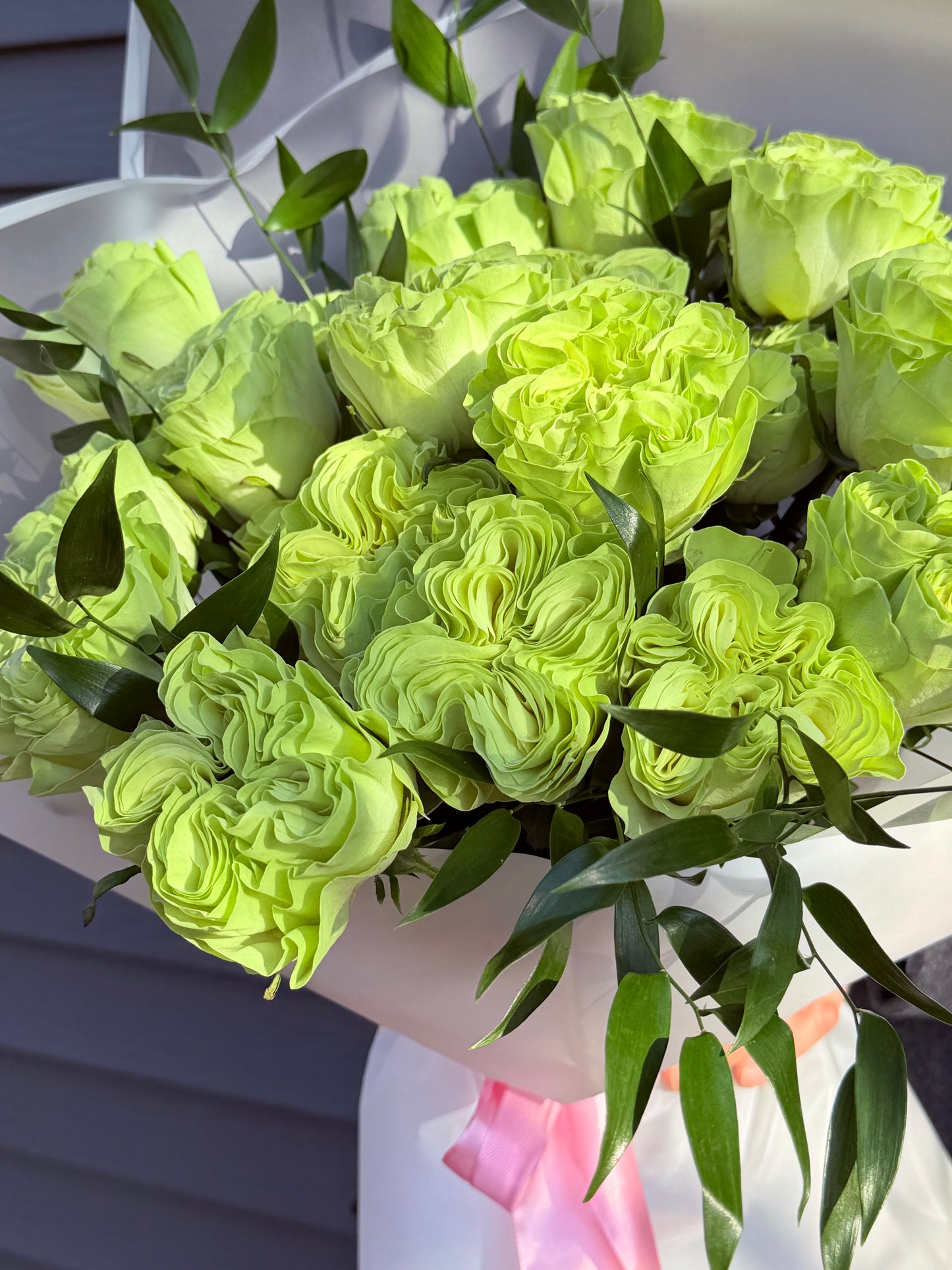 Exotic Lime