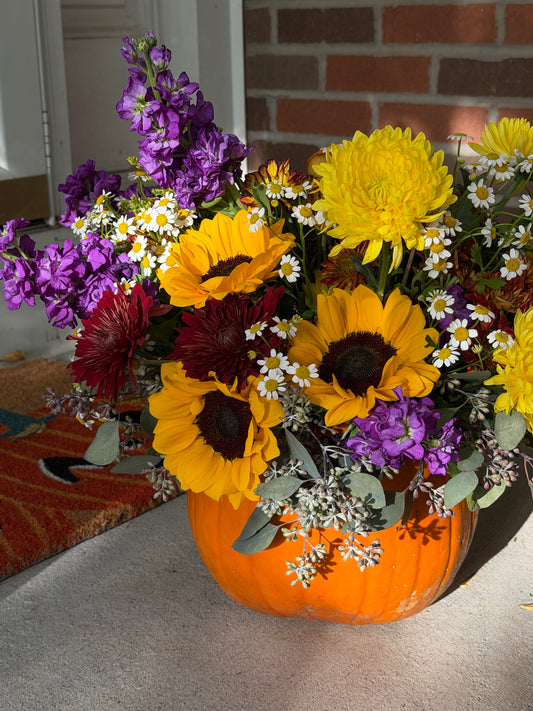 Hello, Pumpkin!