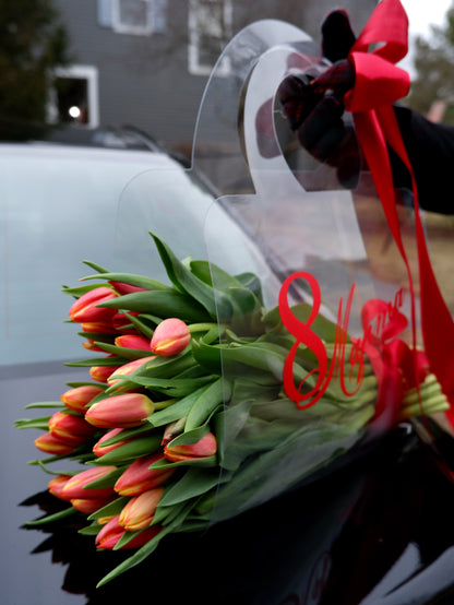 March 8th set with tulips